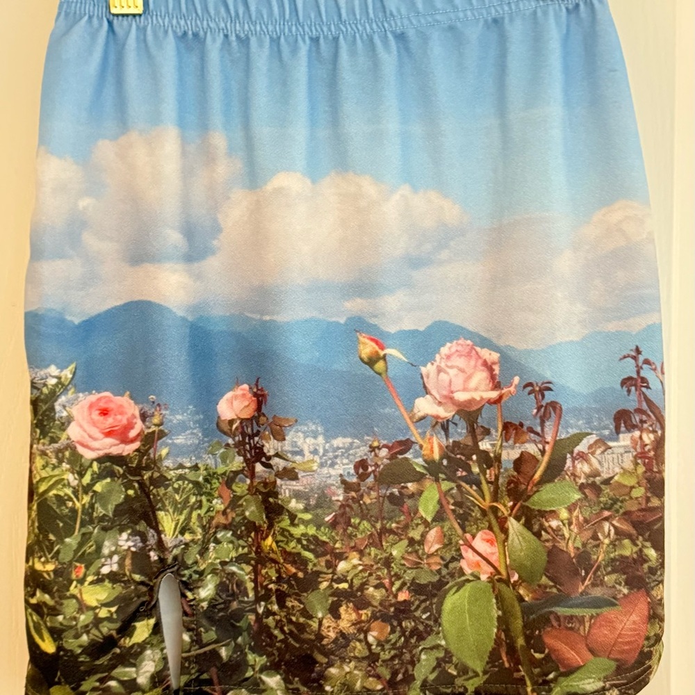 Floral Scenic Print Skirt